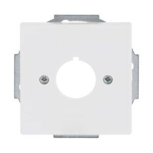 Zentralscheibe mit Tragring 2533-884 Busch Jaeger 2CKA001724A4296