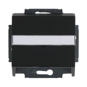 Zentralscheibe mit Tragring 1758-885 Busch Jaeger 2CKA001724A4299
