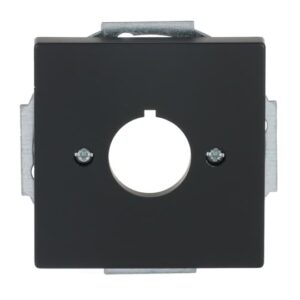 Zentralscheibe mit Tragring 2533-885 Busch Jaeger 2CKA001724A4301