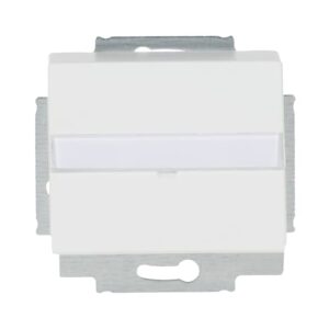 Zentralscheibe mit Tragring 1758-884 Busch Jaeger 2CKA001724A4307
