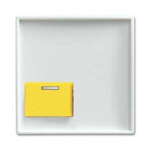 Zentralscheibe   Busch-balance® SI 2548-642 D-914 Busch Jaeger 2CKA001724A4357