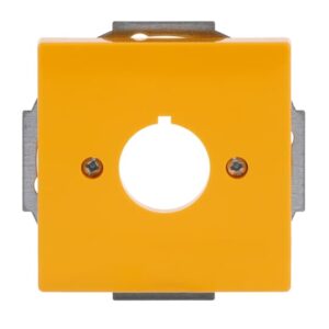 Zentralscheibe mit Tragring 2533-82-15 Busch Jaeger 2CKA001724A4382