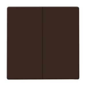 Wippe Serienschalter 2105-31 Busch Jaeger 2CKA001731A1958