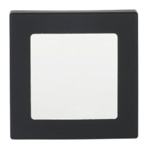 Zentralscheibe Infolicht 1716-885 Busch Jaeger 2CKA001731A1980