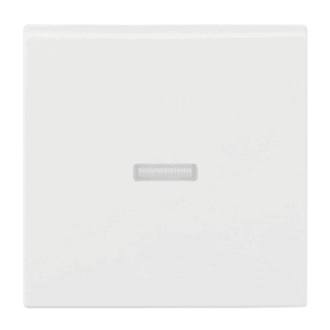 Wippe mit kleiner transparenter Kalotte  Busch-balance® SI 1789 N-914 Busch Jaeger 2CKA001731A2009