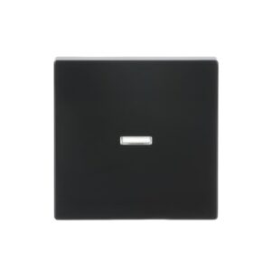 Wippe mit kleiner transparenter Kalotte 1789 N-81 Busch Jaeger 2CKA001751A3147
