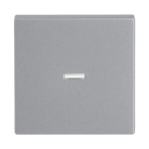 Wippe mit kleiner transparenter Kalotte 1789 N-83 Busch Jaeger 2CKA001751A3149