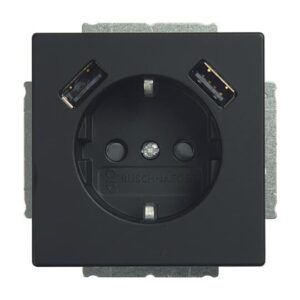 20 EUCB2USB-885 SCHUKO® 2x USB-Steckdose 20 EUCB2USB-885 Busch Jaeger 2CKA002011A6279