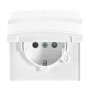 SCHUKO® Steckdosen-Einsatz mit Klappdeckel und Beschriftungsfeld 20 EUGKBN-34-101 Busch Jaeger 2CKA002064A0301
