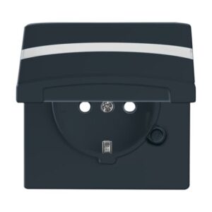 SCHUKO® Steckdosen-Einsatz mit Klappdeckel und Beschriftungsfeld 20 EUGKBN-35-101 Busch Jaeger 2CKA002064A0302