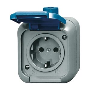 SCHUKO® Steckdose 2-polig 2300 EWSI Busch Jaeger 2CKA002083A0368