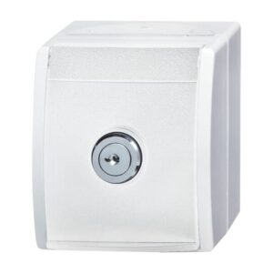 SCHUKO® Steckdose 20 EWSL-54 Busch Jaeger 2CKA002083A0832