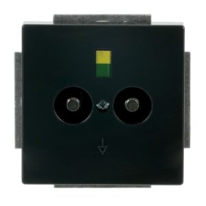 Unterputz-Potenzial-Ausgleichsstecker 2-fach 2095 UC-81 Busch Jaeger 2CKA002495A0084