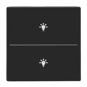Abdeckung als Taster 2-fach, mit Symbol "Beleuchtung", Format 63 - solo/future LFBT/A.2.63.11-885 LFBT/A.2.63.11-885 Busch Jaeger 2CKA006199A0220