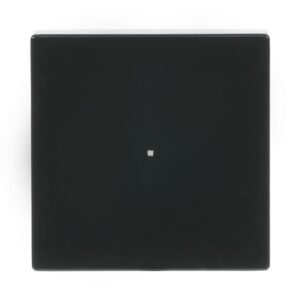 Wippe 1-fach, ohne Bedruckung 6230-10-81 Busch Jaeger 2CKA006220A0032