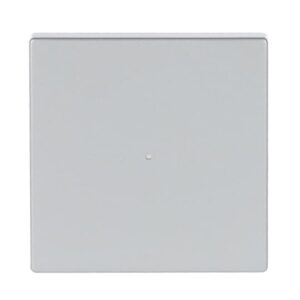 Wippe 1-fach, ohne Bedruckung 6230-10-83 Busch Jaeger 2CKA006220A0033