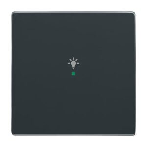 Wippe 1-fach, mit Symbol "Licht 6231-10-81 Busch Jaeger 2CKA006220A0035