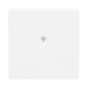 Wippe 1-fach, mit Symbol "Licht 6231-10-84 Busch Jaeger 2CKA006220A0037