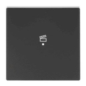 Wippe 1-fach, mit Symbol "Szene 6233-10-81 Busch Jaeger 2CKA006220A0041