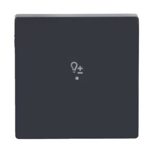 Wippe 1-fach, mit Symbol "Dimmer 6234-10-81 Busch Jaeger 2CKA006220A0044