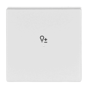 Wippe 1-fach, mit Symbol "Dimmer 6234-10-83 Busch Jaeger 2CKA006220A0045