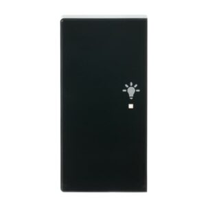 Wippe 2-fach links, mit Symbol "Licht 6231-21-81 Busch Jaeger 2CKA006220A0050