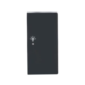 Wippe 2-fach rechts, mit Symbol "Licht 6231-22-81 Busch Jaeger 2CKA006220A0062