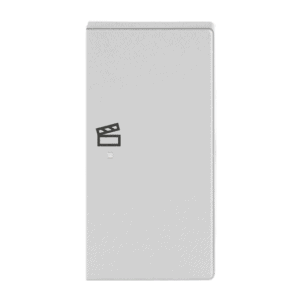 Wippe 2-fach rechts, mit Symbol "Szene 6233-22-83 Busch Jaeger 2CKA006220A0069