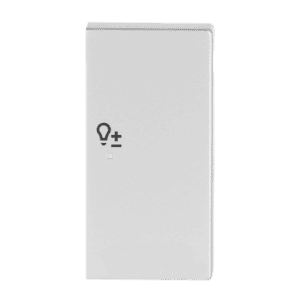 Wippe 2-fach rechts, mit Symbol "Dimmer 6234-22-83 Busch Jaeger 2CKA006220A0254