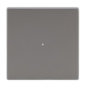 Wippe 1-fach, ohne Bedruckung 6230-10-866 Busch Jaeger 2CKA006220A0413