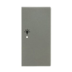 Wippe 2-fach rechts, mit Symbol "Licht 6231-22-866 Busch Jaeger 2CKA006220A0424