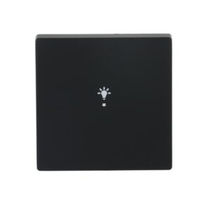Wippe 1-fach, mit Symbol "Licht 6231-10-885 Busch Jaeger 2CKA006220A0499