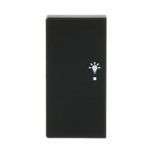 Wippe 2-fach links, mit Symbol "Licht 6231-21-885 Busch Jaeger 2CKA006220A0504