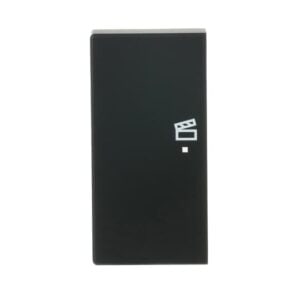Wippe 2-fach links, mit Symbol "Szene 6233-21-885 Busch Jaeger 2CKA006220A0506