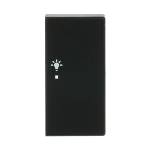 Wippe 2-fach rechts, mit Symbol "Licht 6231-22-885 Busch Jaeger 2CKA006220A0509