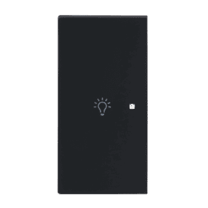 Wippe 2-fach links Symbol "Licht" 2-fach schwarz matt - Busch-art linear® Busch-art linear® 6231-21-45M Busch Jaeger 2CKA006220A0951