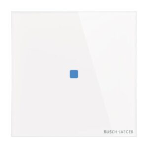 Touch-Bedienelement, 1-fach, Konfigurierbares Gerät TB/U1.1.11-CG Busch Jaeger 2CKA006300A1558