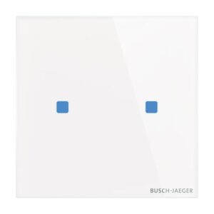 Touch-Bedienelement, 2-fach, Konfigurierbares Gerät TB/U2.5.11-CG Busch Jaeger 2CKA006300A1560
