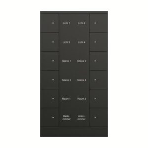 Bedienelement 12-fach, Busch-Tenton® SB/U12.0.11-885 Busch Jaeger 2CKA006330A0076