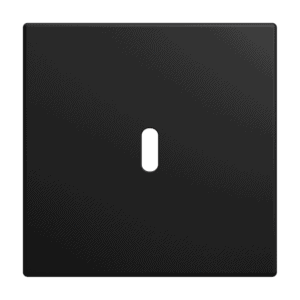 Zentralscheibe USB-C-Power-Netzteil-Einsatz 65W  Busch-balance® SI 6479-915 Busch Jaeger 2CKA006400A0465