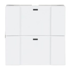 Wandsender WaveLINE 2 Kanal 6732-84 Busch Jaeger 2CKA006730A0055