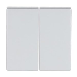 Wippe 2-fach für Bedienelement Smart Switch  Plattform 63 6736 FoH-83 Busch Jaeger 2CKA006730A0135