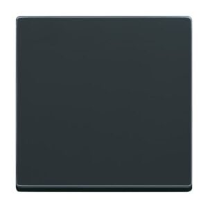 Wippe 1-fach für Bedienelement Smart Switch  Plattform 63 6735 BT-81 Busch Jaeger 2CKA006730A0142