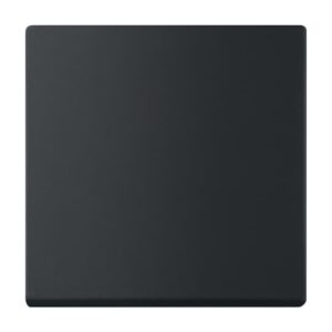 Wippe 1-fach für Bedienelement Smart Switch  Plattform 63 6735 BT-885 Busch Jaeger 2CKA006730A0150