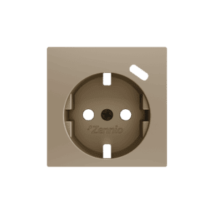 ZS55. Schuko-Steckdosenabdeckung mit USB C 55x55 mm - Champagne Zennio ZS55CSC1USC