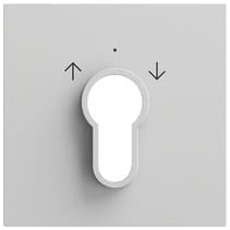 Abd. Schlüsselschalter/-taster System 70 Grau m(lack.) Gira 066476