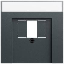 Abd. BSF TAE USB System 70 Anthrazit(lack.) Gira 087673