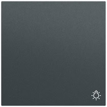 Wippe Symb. Licht System 70 Anthrazit(lack.) Gira 328573