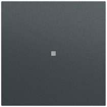 Wippe Kontrollf. System 70 Anthrazit(lack.) Gira 329073