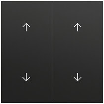 Wippe 2-fach Pfeile System 70 Schwarz m(lack.) Gira 329774